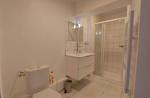 Lourdes Apartment | Lodging at Le Bourg "Appartement bleu" in Lourdes (max 6pers).