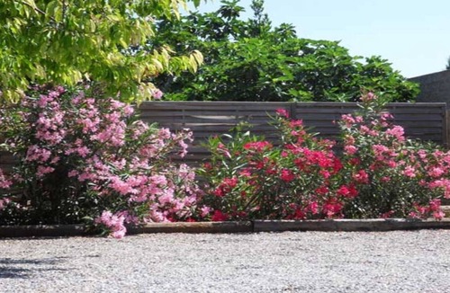 Marseillette House | Lodging in an old wine cellar overlooking the Canal du Midi