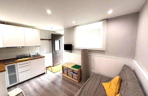 La Molina Apartment | Loft 1 Room, 4 pax, views, La Molina