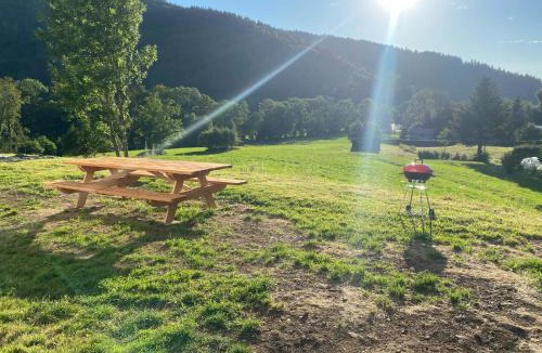 Saint-Maurice-sur-Moselle Apartment | Loft 5 personnes type chalet avec jardin