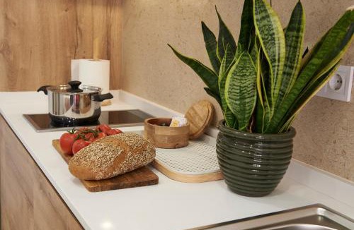 Benicalap Apartment | Loft 9A Jaime II