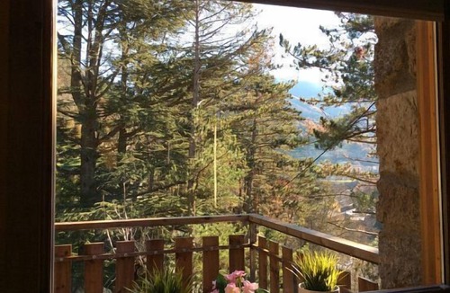 Ribes De Freser Cottage | Loft apartment Els Apartaments del Bosc for 2 people (pet friendly)