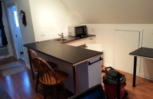 Des Plaines House | Loft Apt is above a detached Garage. Full bathroom, kitchenette, fridge, A/Cn