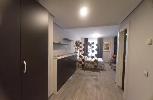 Carrion de los Condes Apartment | Loft Carrión