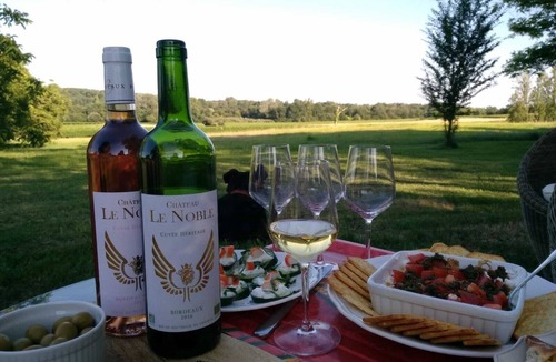 Saint-Germain-Du-Puch Apartment | Loft dans un vignoble- 15 min de St Emilion