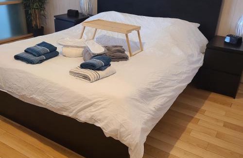 Saint-Marc Apartment | Loft de 130 m2 avec spa et billard au cœur de BREST