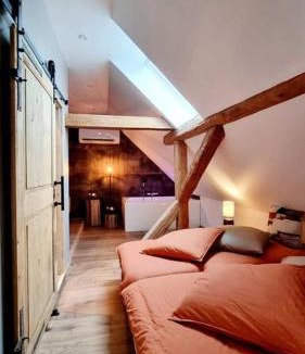 Grendelbruch Apartment | Loft de charme pour amoureux et hammam!