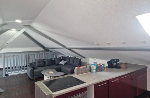 Dasle Apartment | Loft Eiffel F2