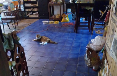 Ithaca House | Loft home!