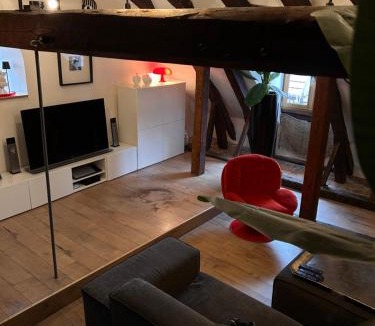 Montbeliard Apartment | Loft i gemelli