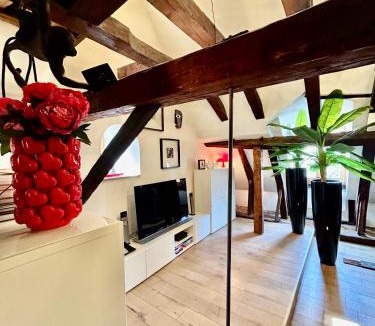 Montbeliard Apartment | Loft i gemelli