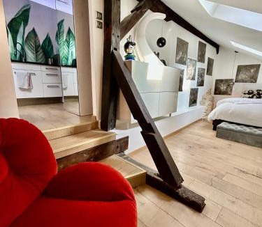 Montbeliard Apartment | Loft i gemelli