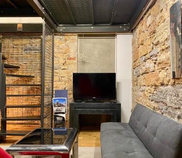Griffon - Royale Apartment | Loft moderne & cosy Terreaux/Croix Rousse - Courts et longs séjours