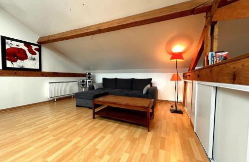 Moret-sur-Loing Apartment | Loft & Parking privé