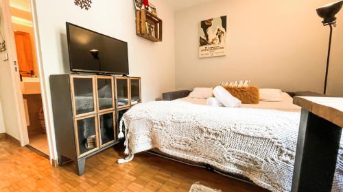 Enveitg Apartment | Loft Serenitat Montana Park