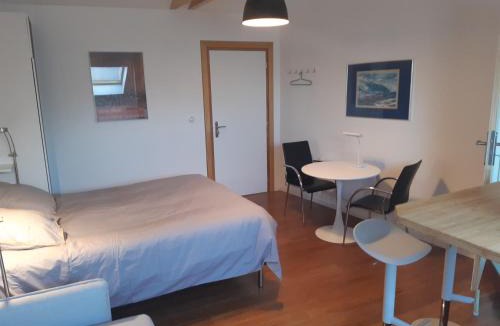 Altkirch House | loft studio avec charme et authenticité