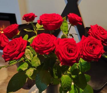 Bourg-Saint-Christophe Apartment | Loft, Studio and Love Rooms