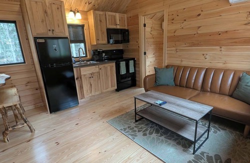 Silver Lake Cabin | Loft View Cabin - 3 Min to Silver Lake Sand Dunes