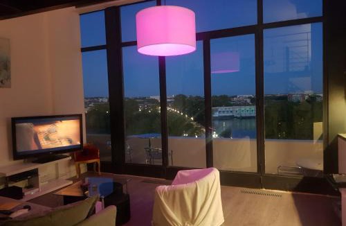 Fer a Cheval Apartment | Loft vue fleuve Garonne parking gratuit