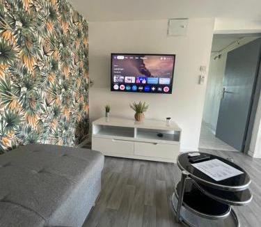 Cornebarrieu Apartment | Loftimeet