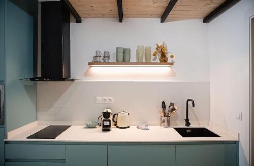 Algiros Apartment | Lofts plaza JM Orense C