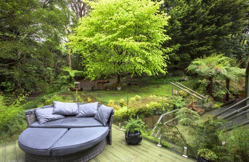 Sassafras House | 🔺Log Cabin🔺3BDR🔺2BR 🔺Quiet 🔺In Forrest