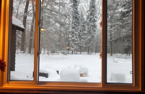 Baysville Cabin | Log Cabin in the Woods STR-2025-195