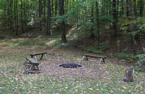 Northeast Michigan Cabin | Log cabin in the woods