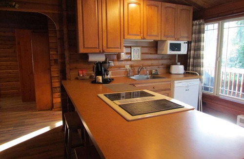Langley Cabin | Log Cabin on 6 beautiful acres.