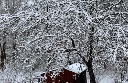 Altmar Cabin | Log Cabin on 63 Acres: Minutes to Salmon River, ATV & Snowmobile Trails