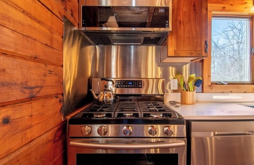 Yorkville Cabin | Log Cabin Pickleball Oasis, Seating for Everyone, 2 Hot Tubs, Games, Deer, Pets