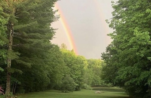 Milton House | log cabin private stocked pond pool