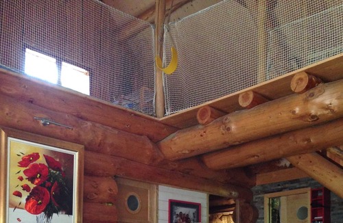 Plesse Ski Chalet | Log cabin (rough logs) among the trees and spa