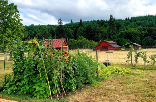 Curtis House | Log Home on 9 acres