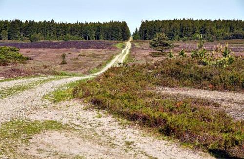 Brande House | Log-House Wildernest