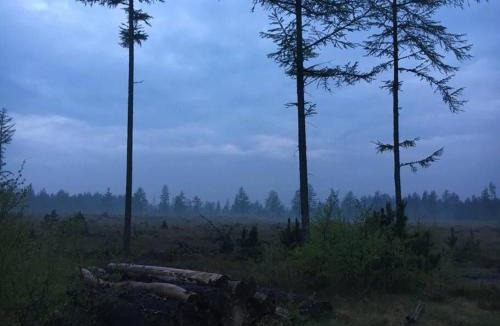 Brande House | Log-House Wildernest