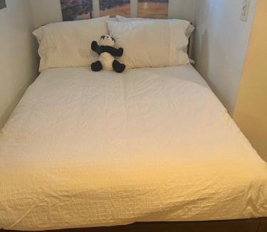 Logan Circle House | Logan Circle Living