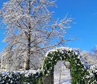 Rouillon Bed & Breakfast | Loge'Mans