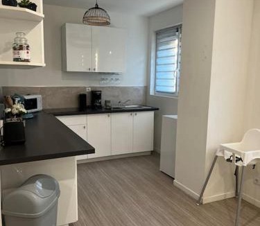 Lallaing Apartment | Logement Bienvenue