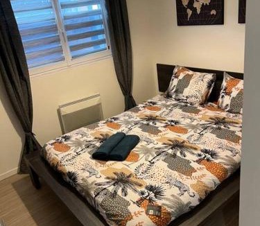 Lallaing Apartment | Logement Bienvenue