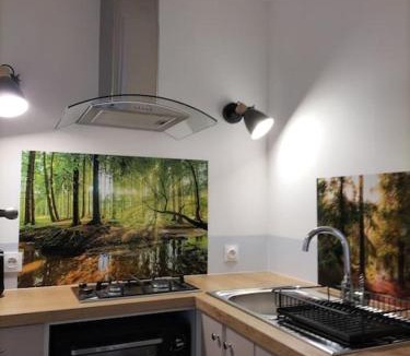 Mazieres-en-Gatine Apartment | Logement entier 3 pièces et terrasse