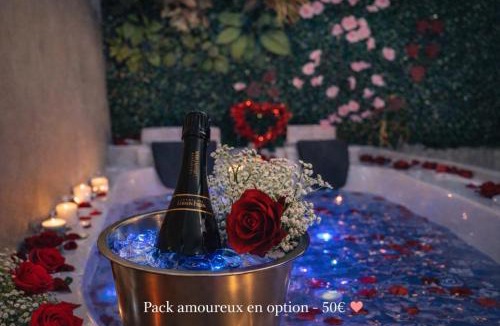 Naintre Apartment | Logement entier avec jacuzzi proche futuroscope