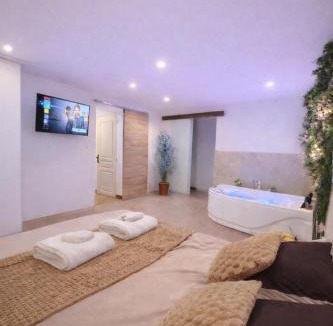 Naintre Apartment | Logement entier avec jacuzzi proche futuroscope