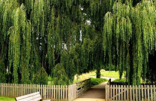 Douvres-la-Delivrande Ski Chalet | Logement Insolite Proche de la mer