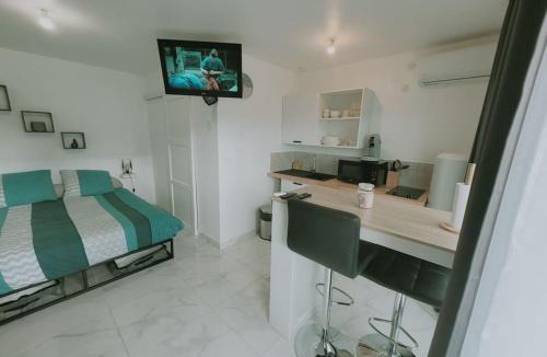 Juvignac Apartment | logement indépendant avec terrasse "Les Mésanges"