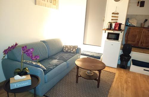 Mezieres-sur-Seine Apartment | logement Mezzanine salon indépendant