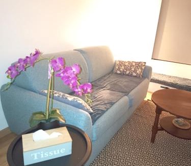 Mezieres-sur-Seine Apartment | logement Mezzanine salon indépendant
