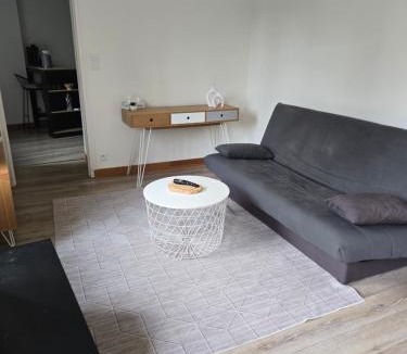 Ouzouer-sur-Loire Apartment | Logement moderne équipé