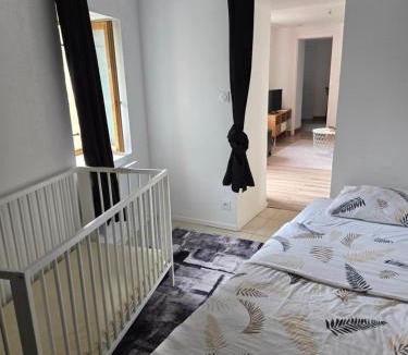 Ouzouer-sur-Loire Apartment | Logement moderne équipé