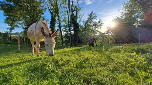 La Bridoire House | Logement neuf à 2 pas du lac